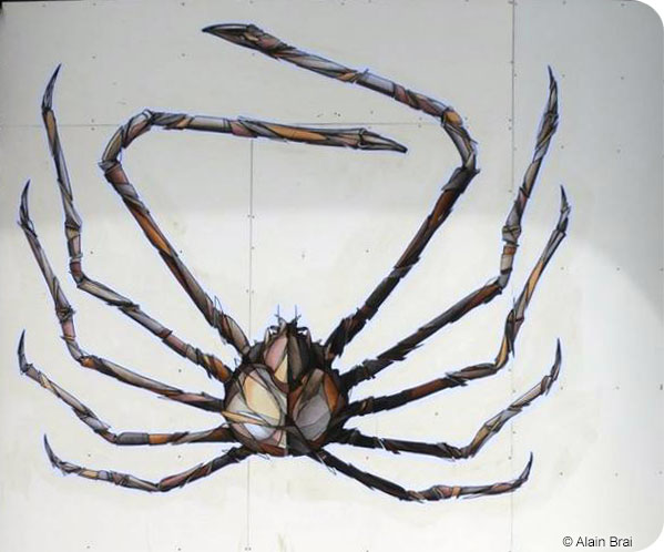 Crabe-araignée géant du Japon 